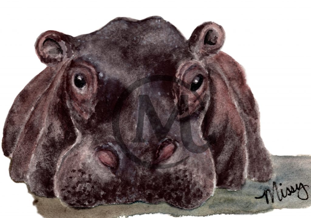 Zelda the Hippo