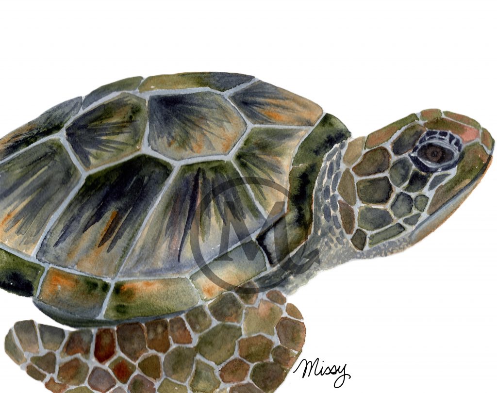 Crush the Turtle
