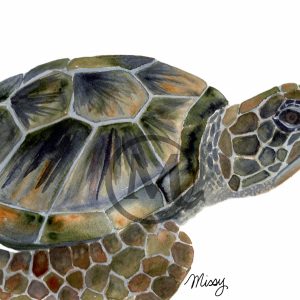 Crush the Turtle