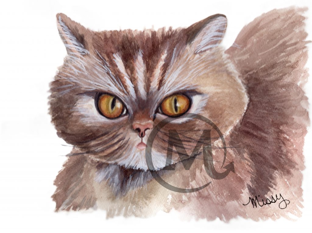 Luna Tuna the Cat