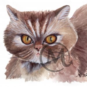 Luna Tuna the Cat