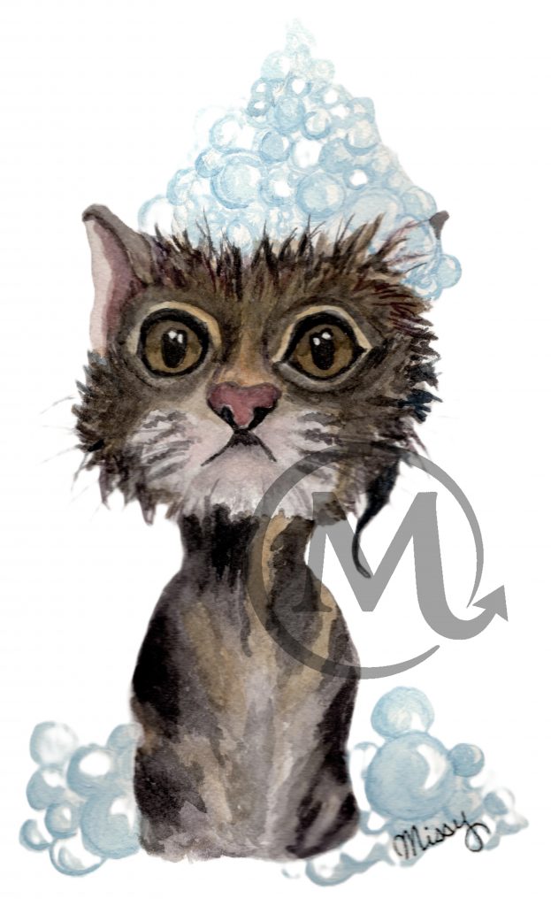 Bubbles the Cat