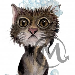 Bubbles the Cat