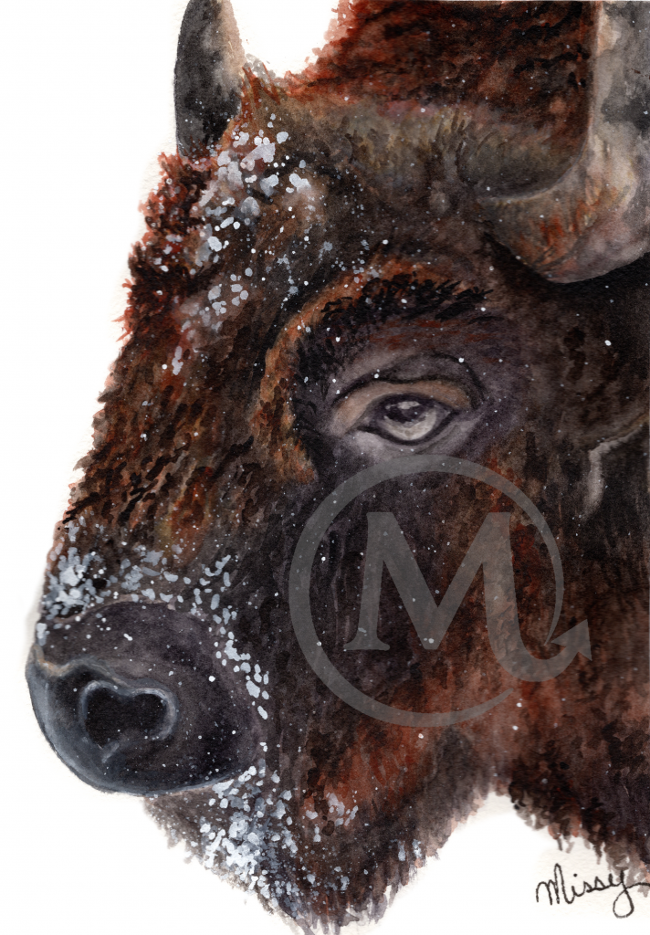 Ralph the Buffalo