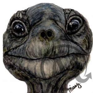 Jonathan the Tortoise