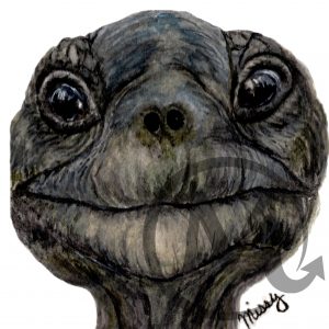 Jonathan the Tortoise