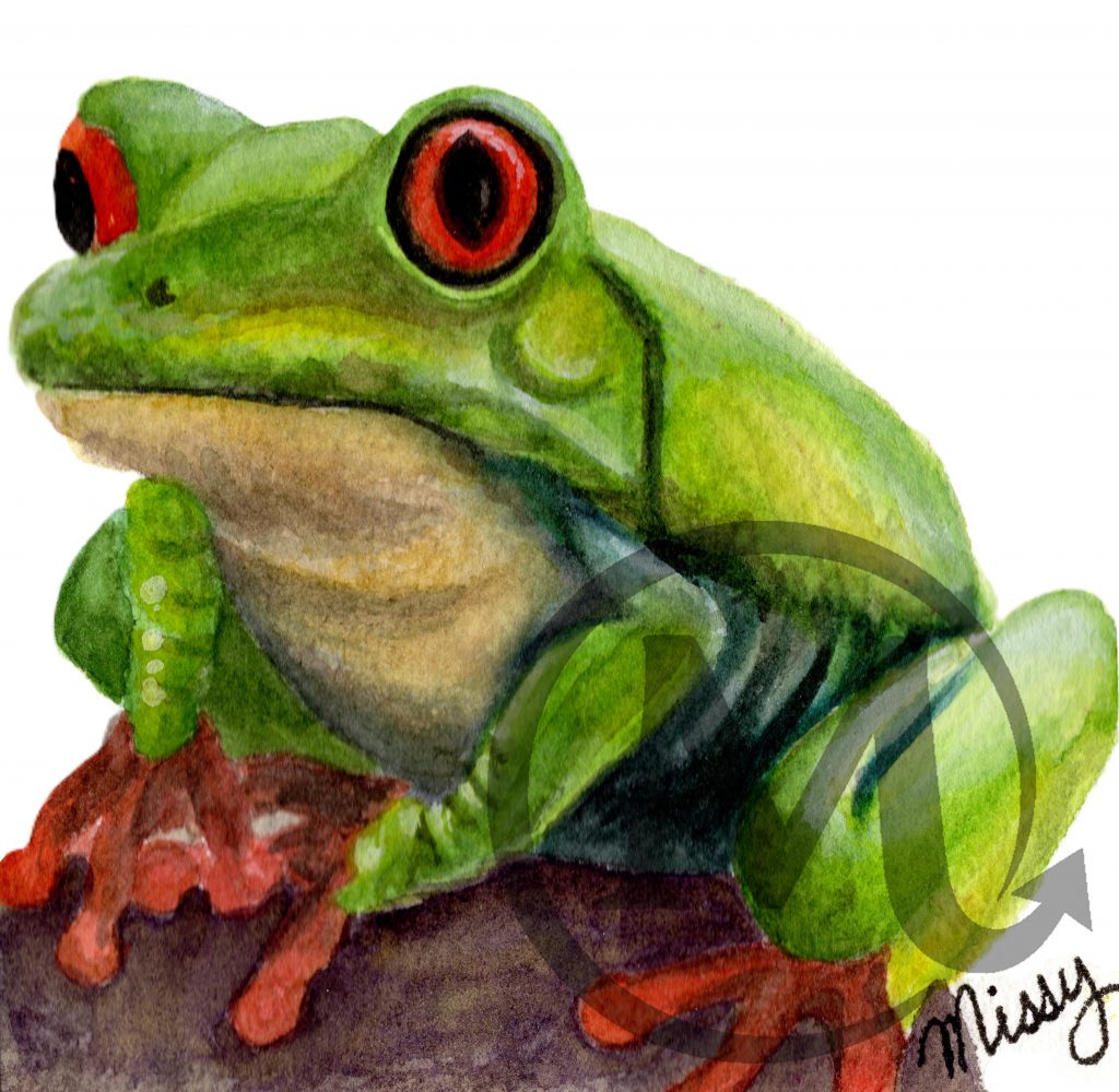 Percy Greenfield the Frog