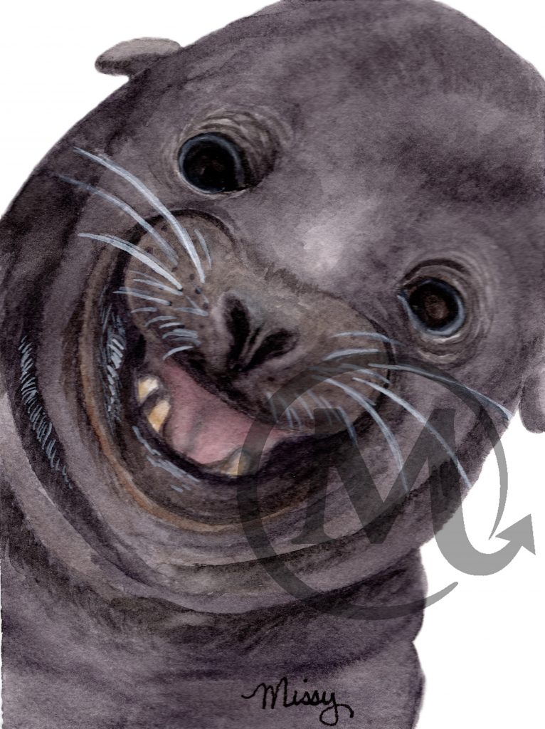 Jinks the SeaLion