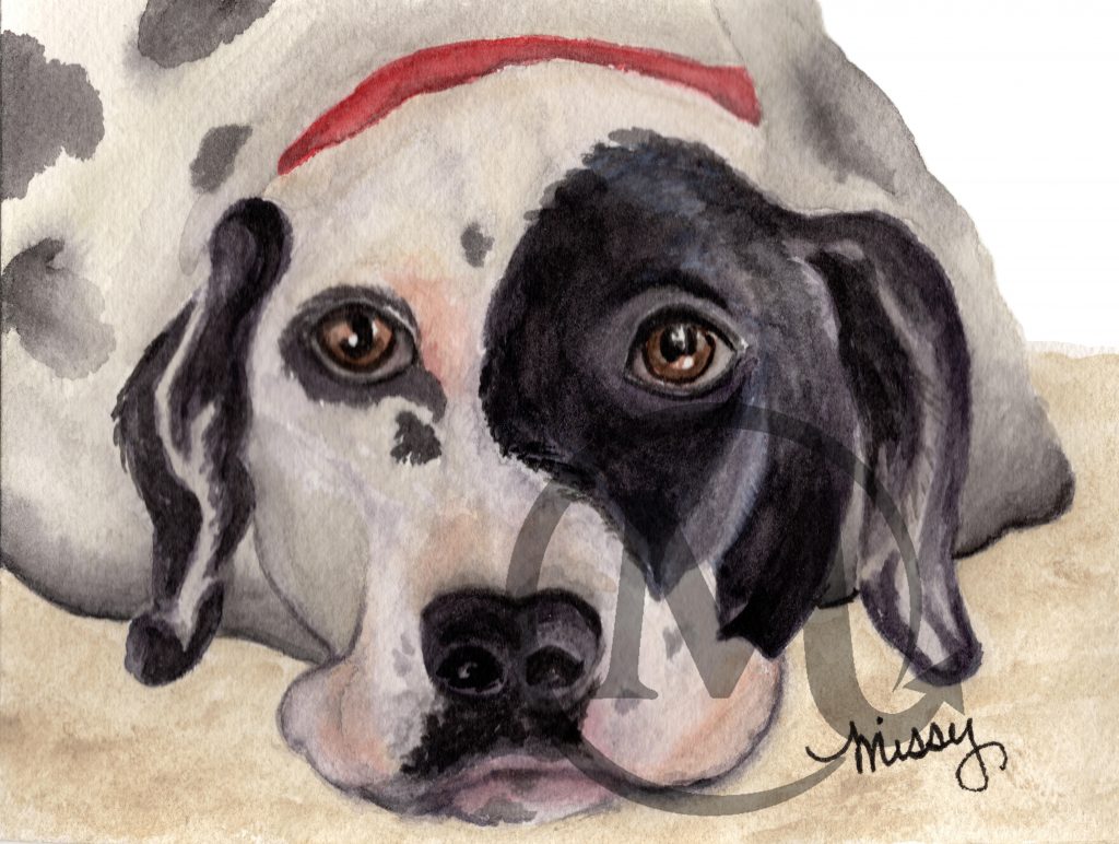Fynn the Dog