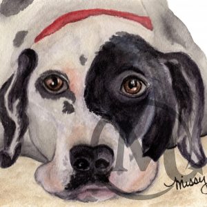 Fynn the Dog
