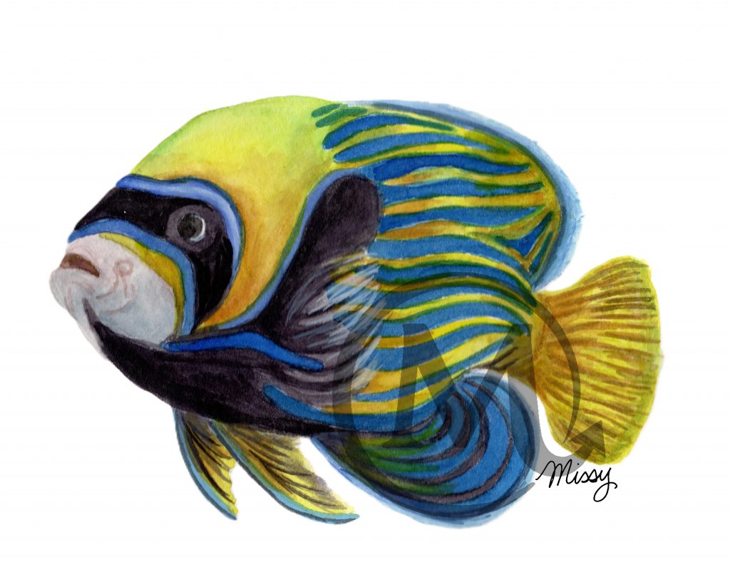 Fynn the Fish