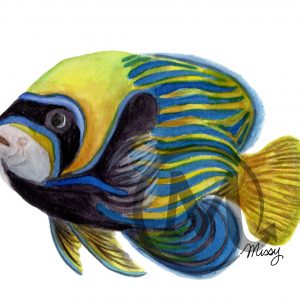 Fynn the Fish