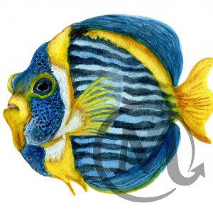 Erbry the Fish