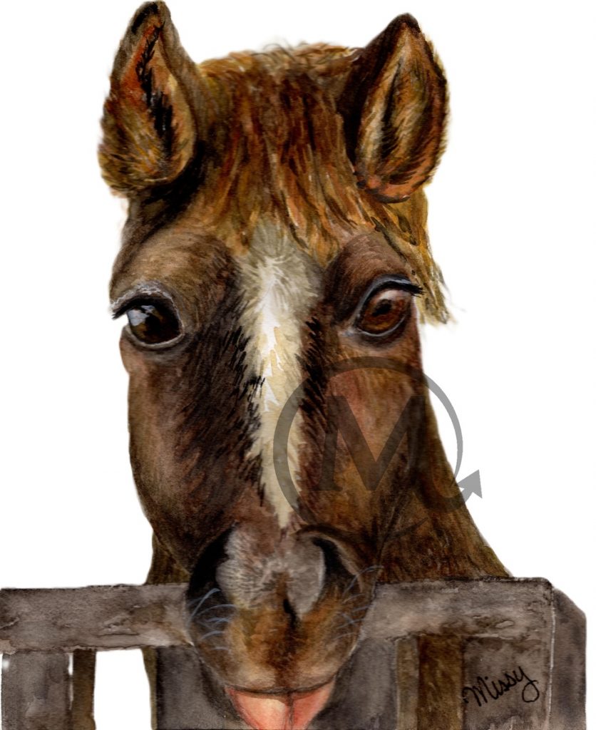 Jeffy the Horse