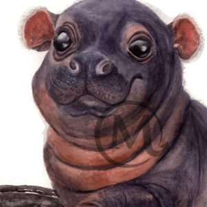 Priscilla Presley Hippo