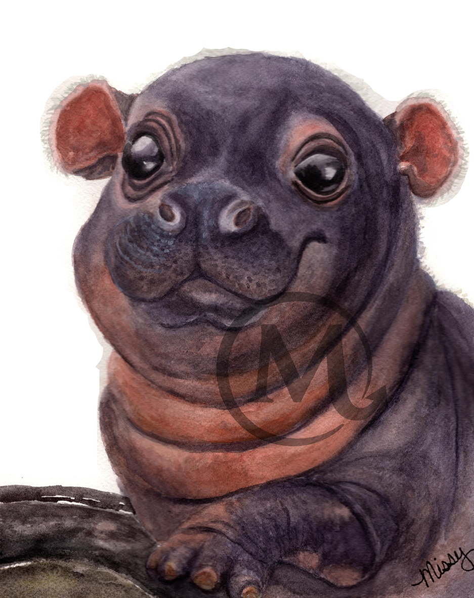 Priscilla Presley Hippo
