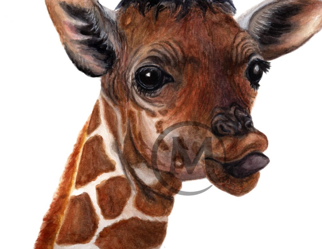 Eugene the Giraffe