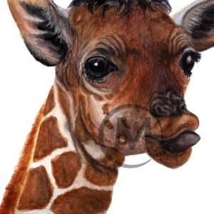 Eugene the Giraffe