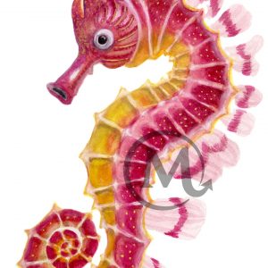 Mushu the Seahorse