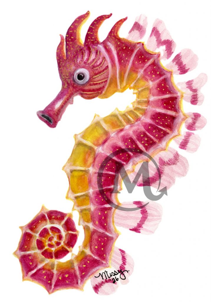 Mushu the Seahorse