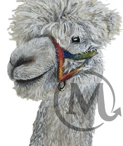 Gandalf the Alpaca