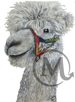 Gandalf the Alpaca