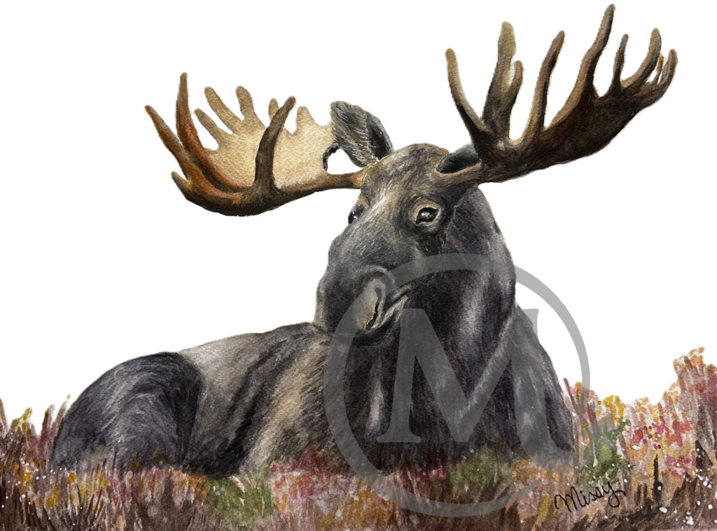 Bullwinkle the Moose
