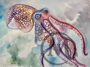 Rainbow Bright the Octopus