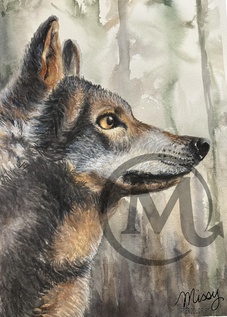 Luna the Wolf