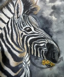 Nibbles the Zebra