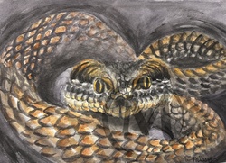 Victor the Viper