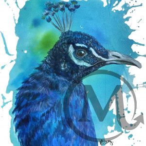 Xanadu the Peacock