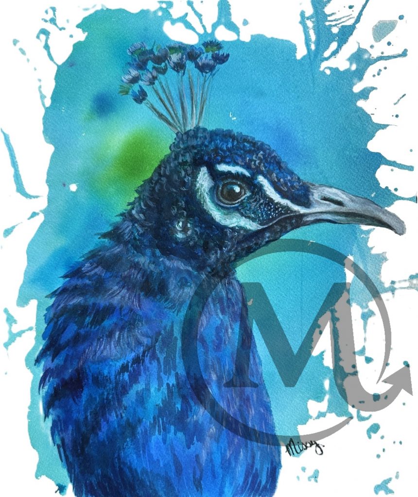 Xanadu the Peacock