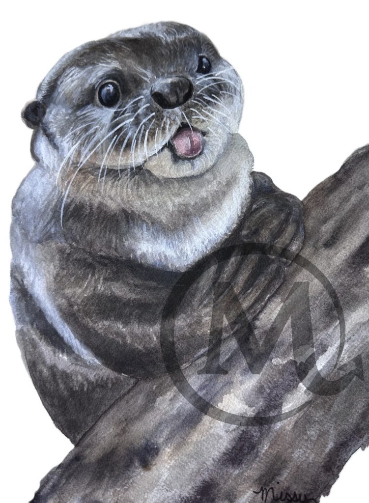 Ricky the Otter