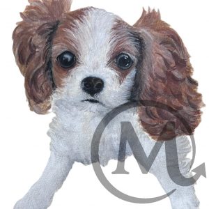 Peanut The Dog