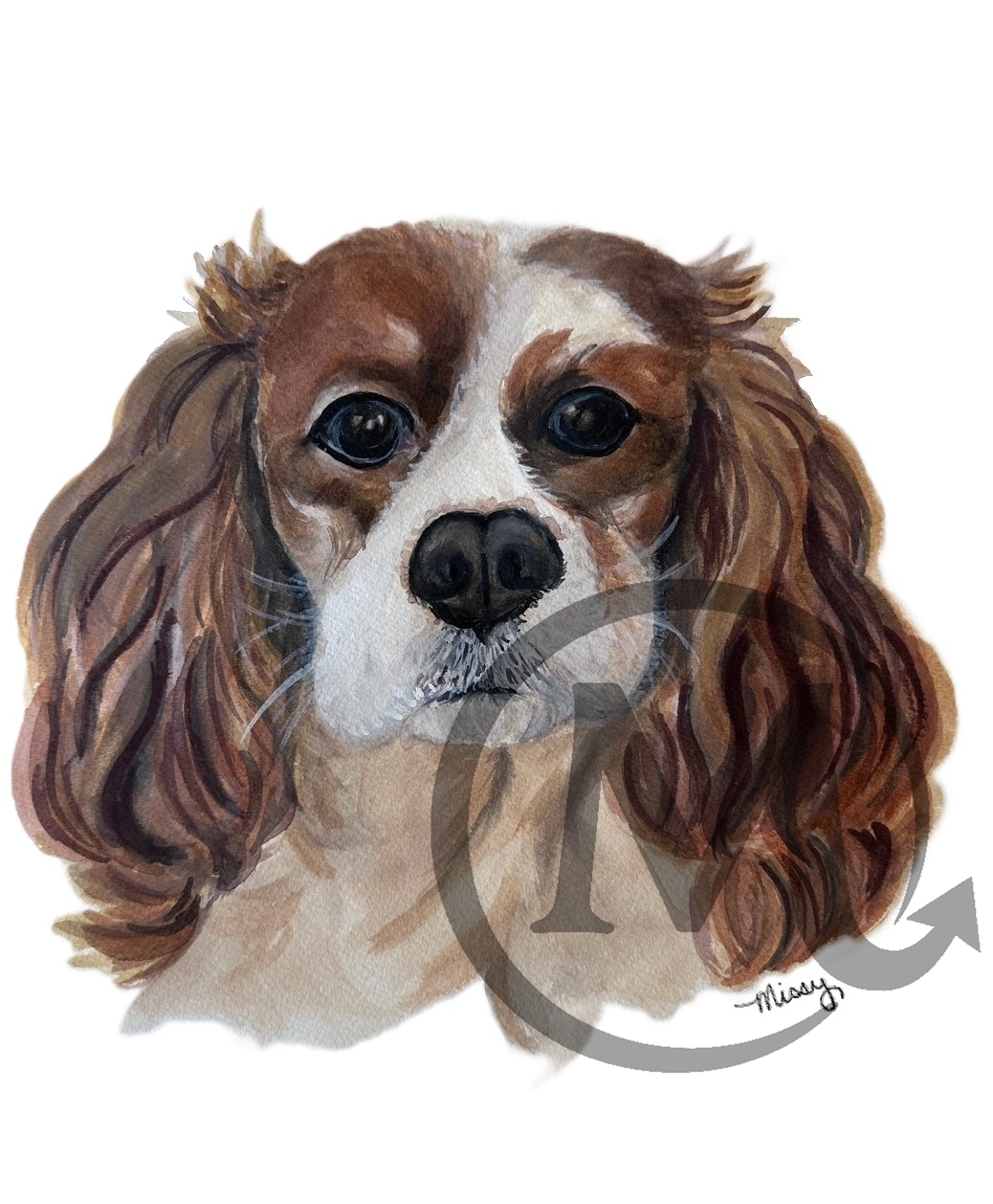 Cashew The Dog