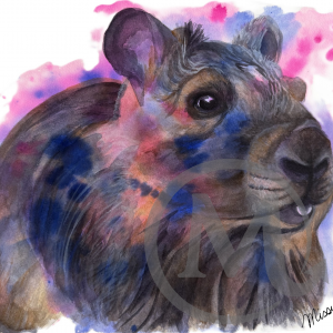 Cappy the Capybara