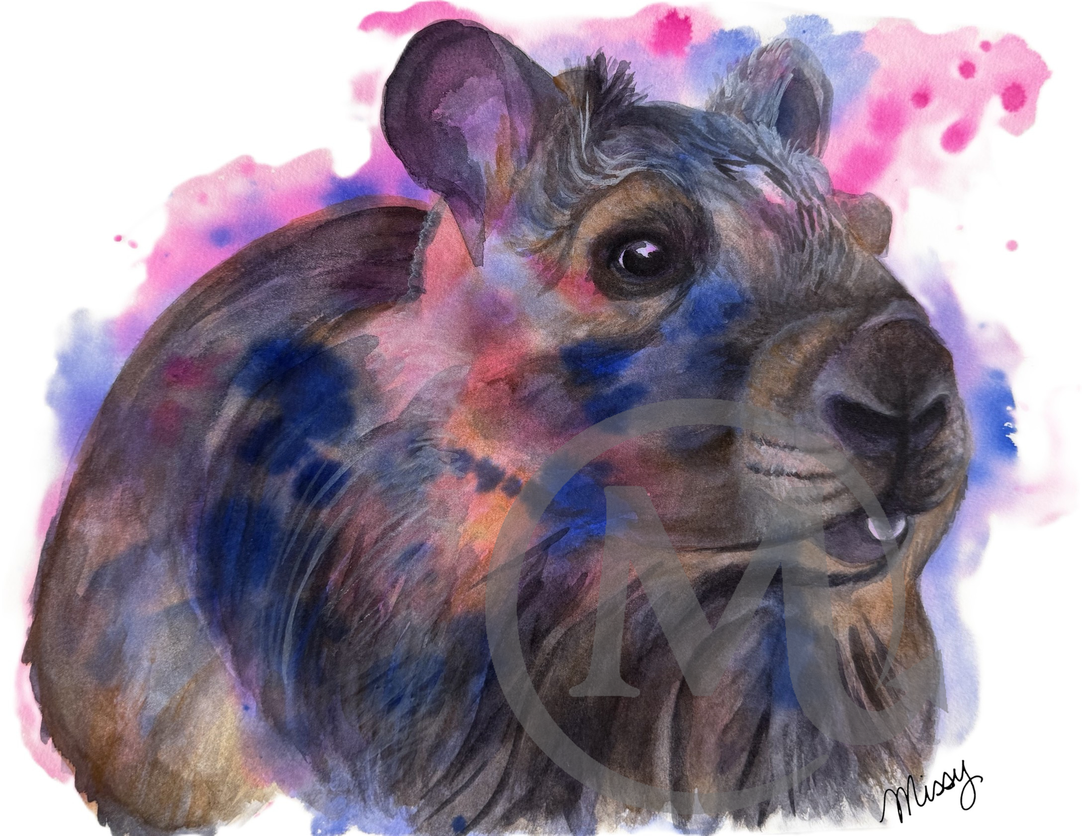 Cappy the Capybara