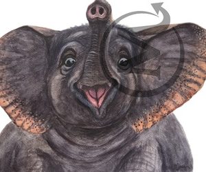 Dumbo