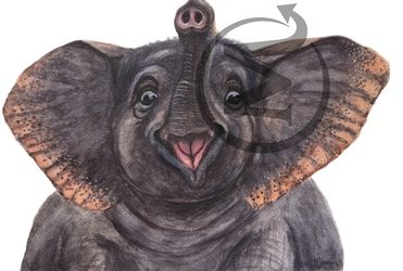 Dumbo