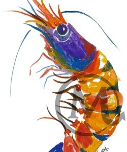 Shrimpy