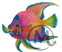 RainbowBright