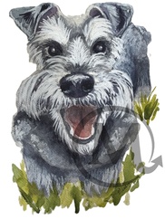 Maximilian The Dog