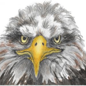 Tank the Eagle