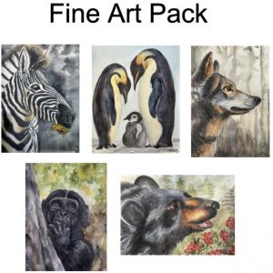 Fine Art Pack Greeting Cards