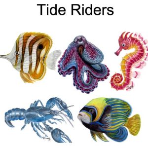 Tide Riders Greeting Cards