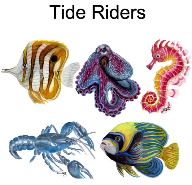 Tide Riders Greeting Cards